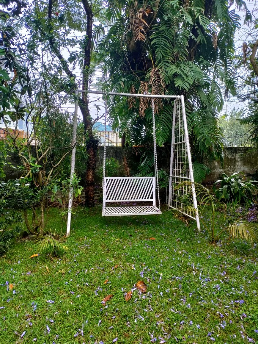 The swing on the lawn